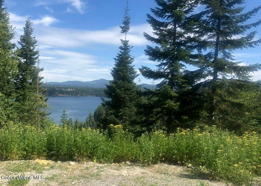 LOOKOUT DRIVE, HAYDEN, ID 83835, photo 1 of 19