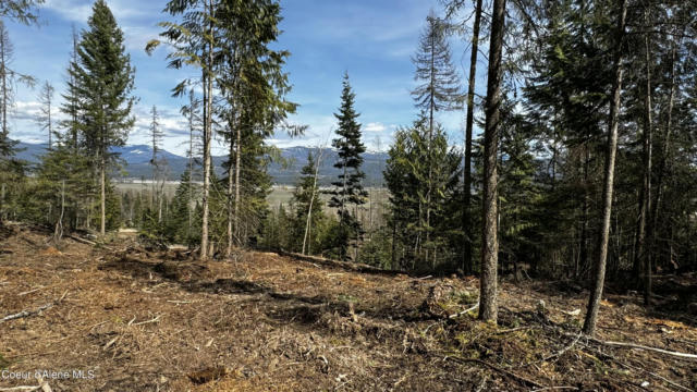 NNA WEST SIDE ROAD (PARCEL 5), BONNERS FERRY, ID 83805, photo 5 of 6