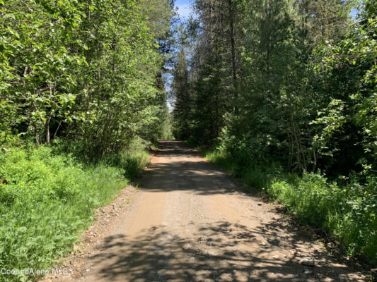 NNA PUP PAW TRAIL, PRIEST RIVER, ID 83856, photo 2 of 38