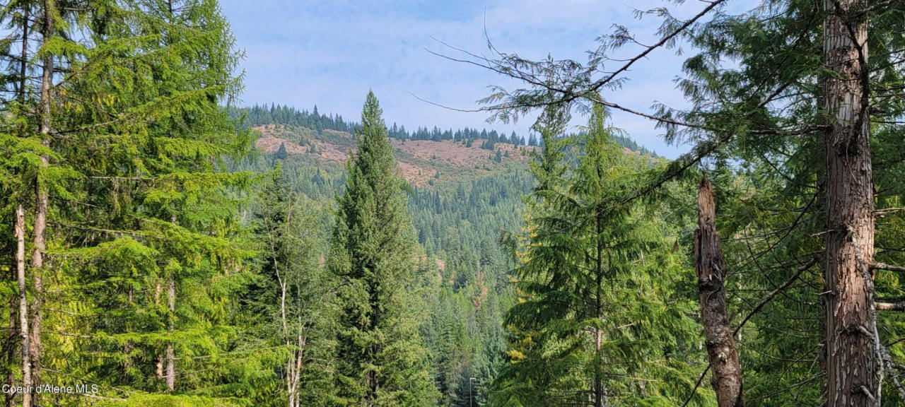 NNA PUP PAW TRAIL, PRIEST RIVER, ID 83856, photo 1 of 25