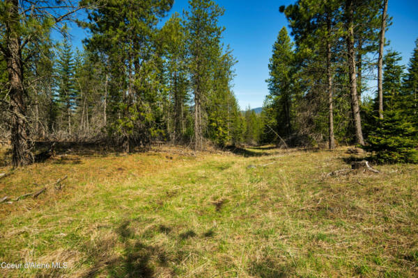 NKA MISS KITTY LN, PRIEST RIVER, ID 83856, photo 3 of 16