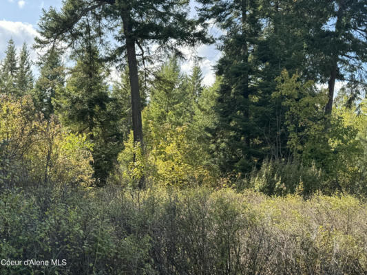 NNA CONTINENTAL LANE-PARCEL 3, BONNERS FERRY, ID 83805, photo 4 of 11