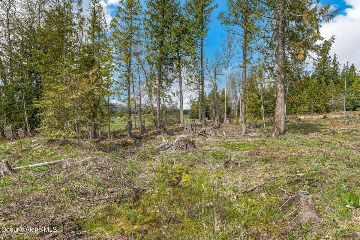 LOT 3 LITTLE ITALY, PRIEST RIVER, ID 83856, photo 1 of 25
