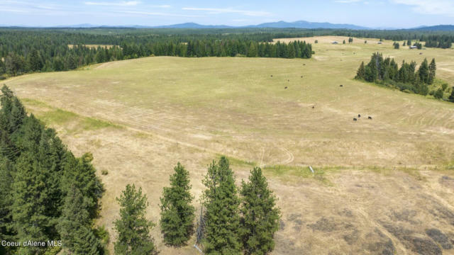 1605 JASMINE LN, PARCEL 14, WEIPPE, ID 83553 - Image 1