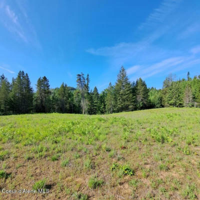 NKA OTTER LANE, BONNERS FERRY, ID 83805, photo 4 of 8