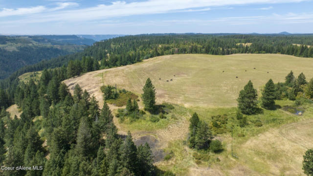1605 JASMINE LN, PARCEL 15, WEIPPE, ID 83553 - Image 1