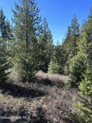 NNA BLACKTAIL RD, COCOLALLA, ID 83813, photo 2 of 16