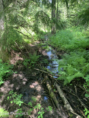 NNA PUP PAW TRAIL, PRIEST RIVER, ID 83856, photo 3 of 38