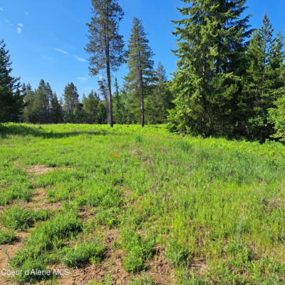 NKA OTTER LANE, BONNERS FERRY, ID 83805, photo 2 of 8