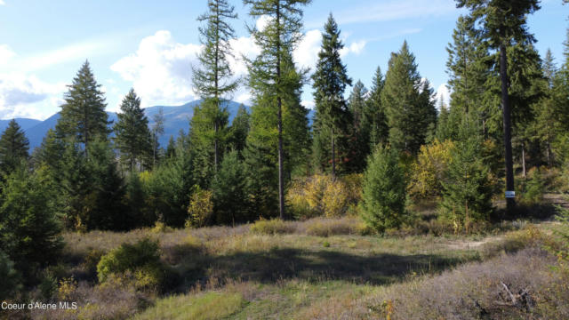 NNA CONTINENTAL LANE-PARCEL 4, BONNERS FERRY, ID 83805, photo 3 of 21