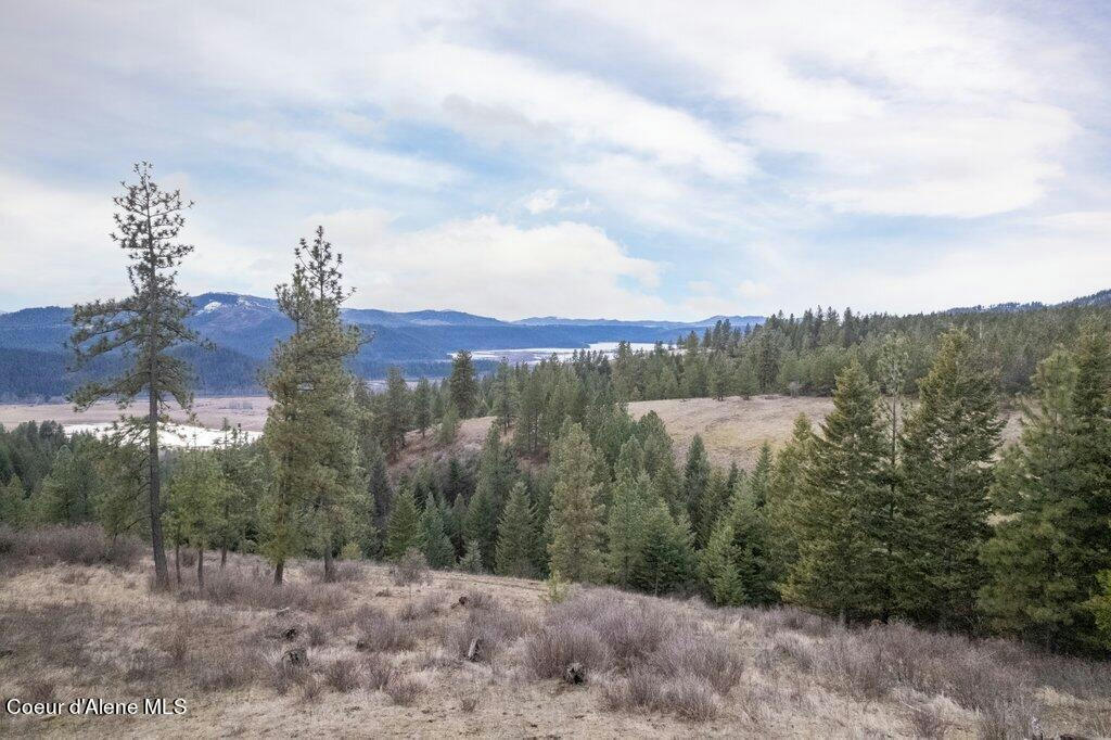 LOT 2 BRIMSTONE LNE, ST. MARIES, ID 83861, photo 1 of 20