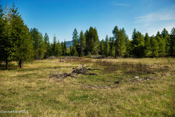 NKA MISS KITTY LN, PRIEST RIVER, ID 83856, photo 2 of 16