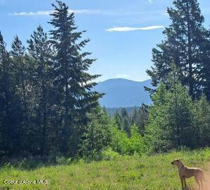 NKA OTTER LANE, BONNERS FERRY, ID 83805, photo 1 of 8