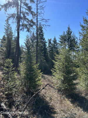 NNA BLACKTAIL RD, COCOLALLA, ID 83813, photo 3 of 15