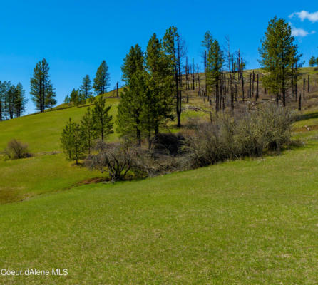 NKA 20ACS HIDDEN VALLEY LN, LOT 2, WEIPPE, ID 83553, photo 4 of 9