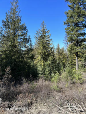 NNA BLACKTAIL RD, COCOLALLA, ID 83813 - Image 1
