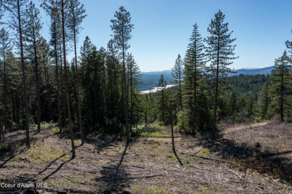 PARCEL 1 GOLD CUP RD, PRIEST RIVER, ID 83856 - Image 1