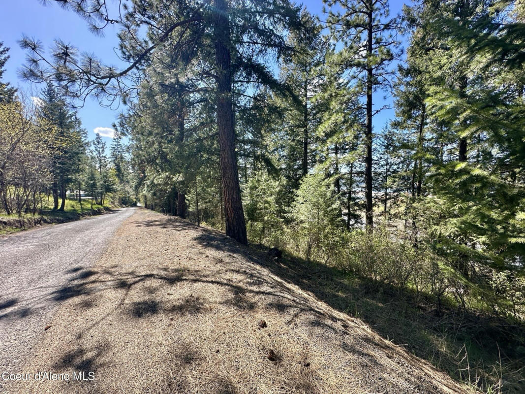 TBD PARK AVE, HARRISON, ID 83833, photo 1 of 10