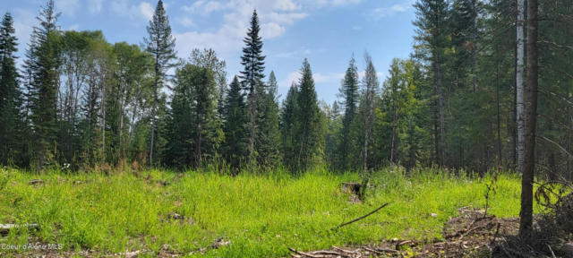 NNA PUP PAW TRAIL, PRIEST RIVER, ID 83856, photo 4 of 25