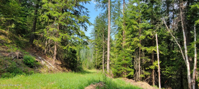 NNA PUP PAW TRAIL, PRIEST RIVER, ID 83856, photo 5 of 25